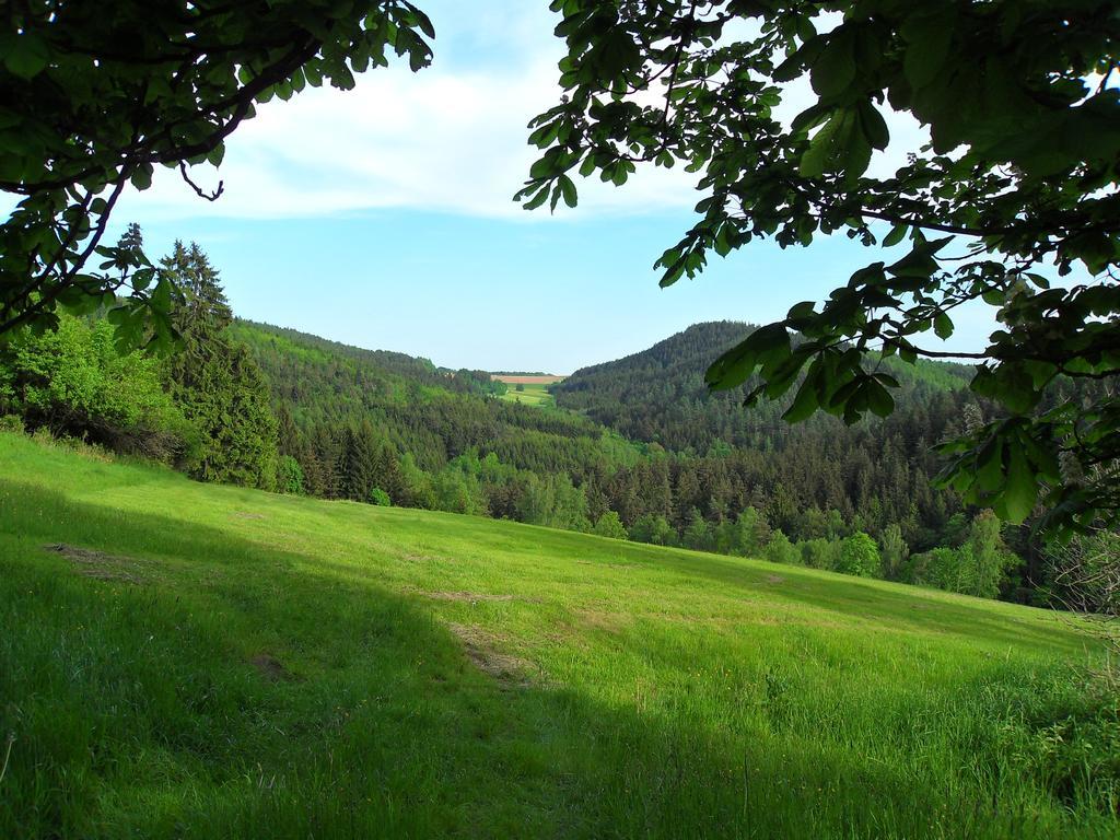 Ferienwohnung Wildenreuth Weidenberg Bagian luar foto